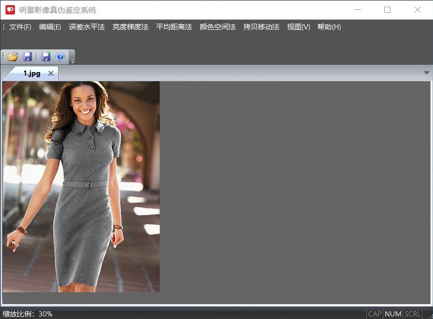尊龙人生就是博首页影像真伪判断系统